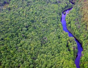aerial view of Wisconsins chequamegon nicolet forest