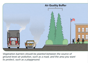 Morton Arboretum image: Vegetation barriers should be placed between the source of ground-level air pollution, such as a road, and the area you want to protect, such as a playground