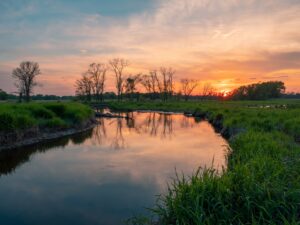 Wetlands in brookfield Wisconsin with a sunset in the Background