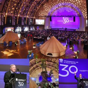 Collage of gala photos shows the Navy Pier Aon Grand ballroom with seating and glamping tents, performers dressed as trees, and speakers including Senator Dick Durbin and Director Howard Learner