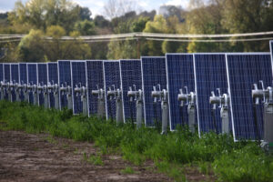 A row of solar panels stands in a grassy field in front of some powerlines. Dunn Energy Co-op Downsville project in Wisconsin. Photo by Mary Willie