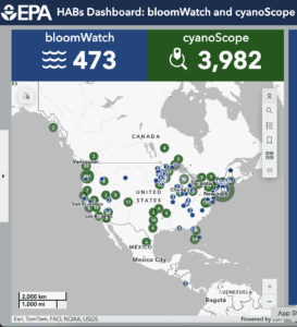 Screenshot of the EPA's Bloomwatch and Cyanoscope database of nationwide hotspots for cyanobacteria and harmful algal blooms across the United States