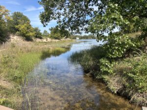 A waterway winds through grasses and trees with houses in the distance, near Miller Beach Indiana in the Indiana Dunes National Park