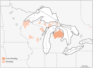 Kirtland's Warbler nesting range map shows a strong orange area in the northern Lower Peninsula of Michigan, and little light orange spots in Wisconsin.