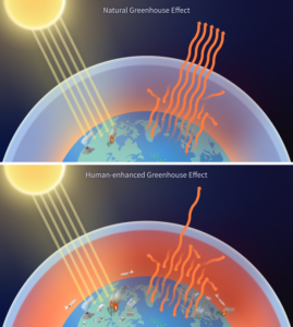 NOAA illustration of the greenhouse gas effect and a hotter planet driven by additional human emissions